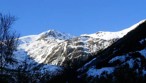 catoute