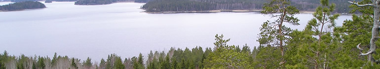 Capítulo 0 random header image