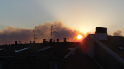 lume_4.jpg