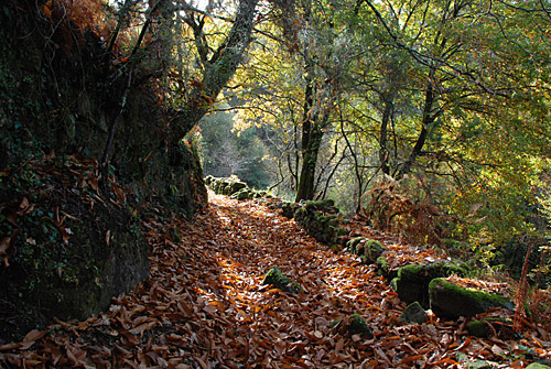 DSC_0064.jpg