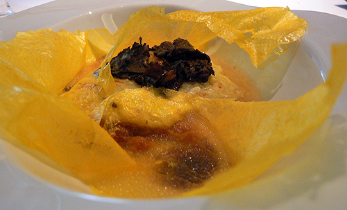 P1130352.jpg