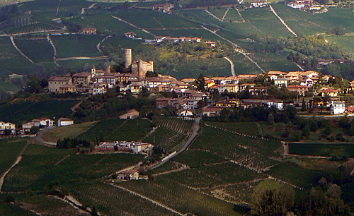 barolo_1.jpg