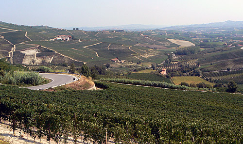 barolo_2.jpg