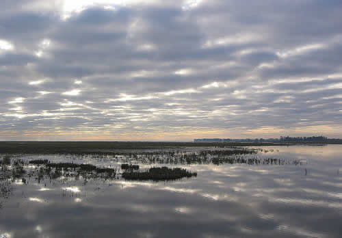 lagoad.jpg