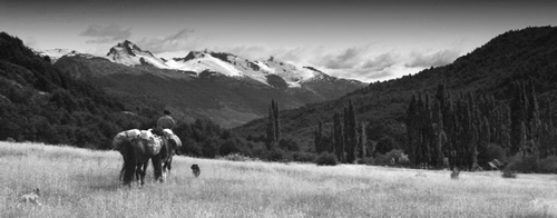 patagonia.jpg