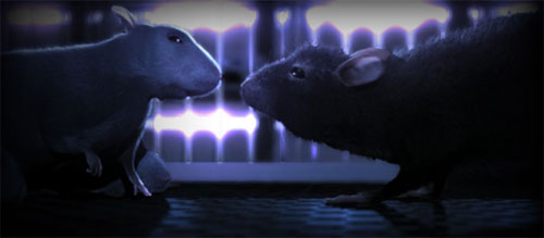 ratas.jpg